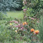 Bed & Breakfast A L'oree Du Bois Retaud