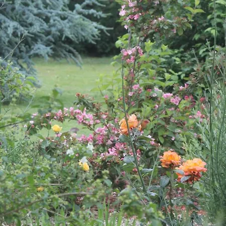 Nocleg ze śniadaniem A L'oree Du Bois Rétaud