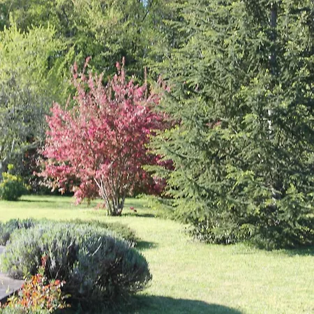 Bed and Breakfast A L'oree Du Bois