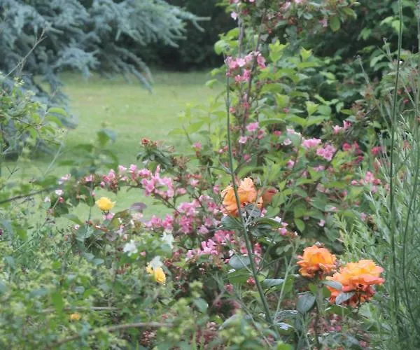 Bed & Breakfast A L'oree Du Bois Rétaud