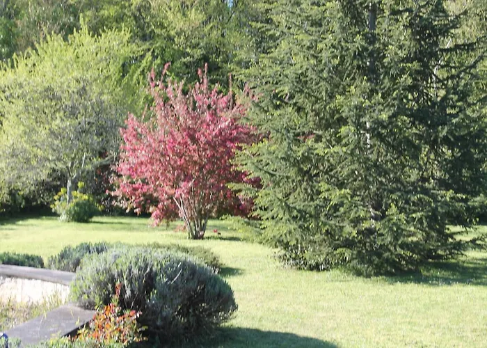 Bed & Breakfast A L'oree Du Bois